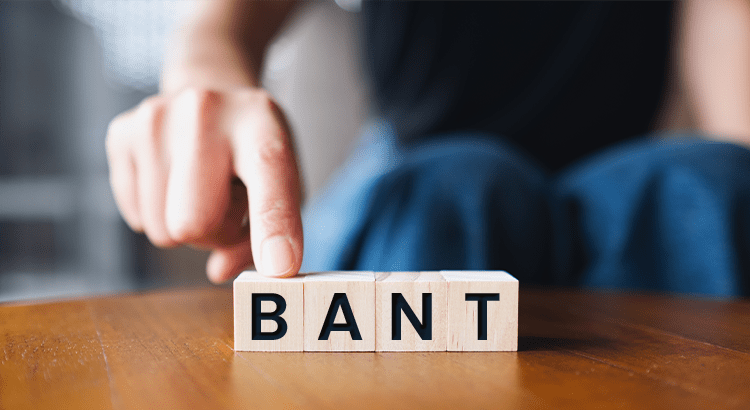 Metodologia Bant
